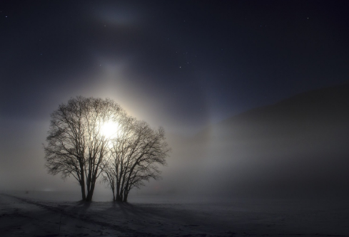 1695793718980641.png image.png