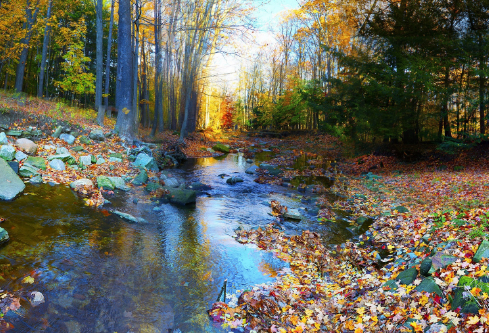 1695793884258649.png image.png