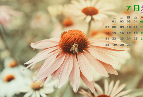 1695794049277565.png image.png