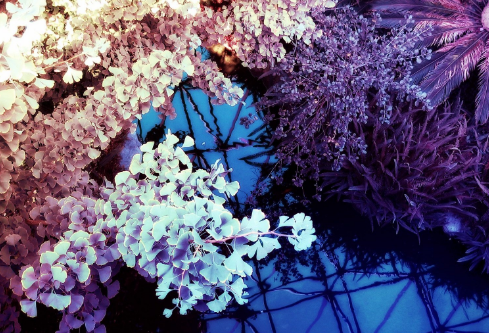 1695794216660899.png image.png