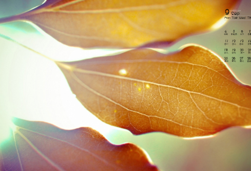 1695794547445637.png image.png