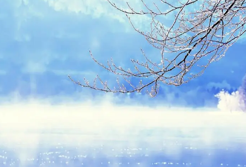 1695794879256305.png image.png