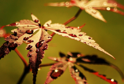 ​勿谓言之不预造句,用勿谓言之不预怎么造句