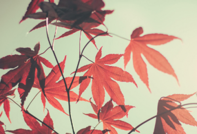 ​着急造句,用着急怎么造句