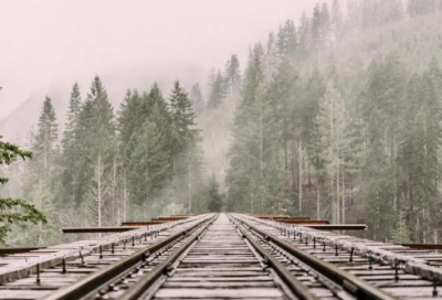 ​徙造句,用徙怎么造句