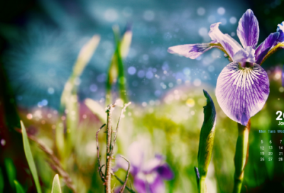 ​爬上造句,用爬上怎么造句