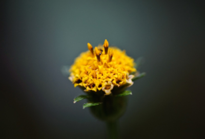 ​惊奇造句,用惊奇怎么造句