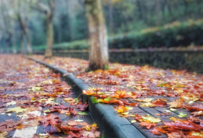 ​田里造句,用田里怎么造句