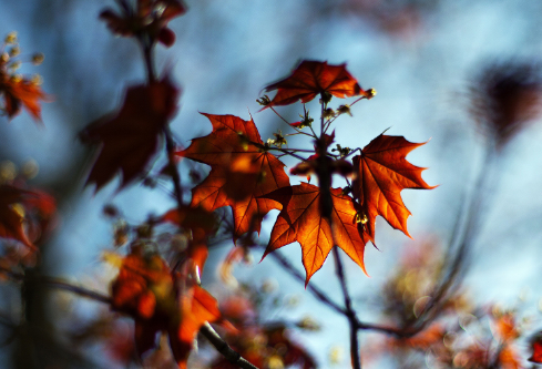 1695801848676400.png image.png