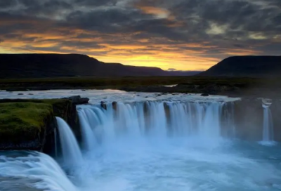 ​濒造句,用濒怎么造句