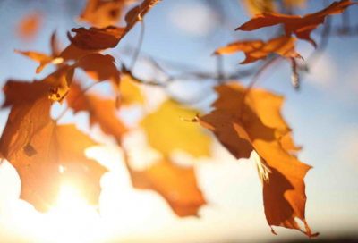 ​好长造句,用好长怎么造句