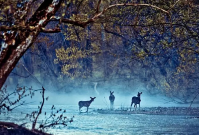 ​人吗造句,用人吗怎么造句