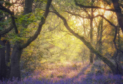 ​强中更有强中手造句,用强中更有强中手怎么造句