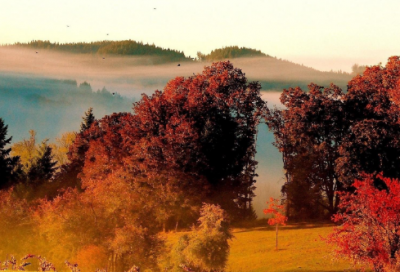 ​暇造句,用暇怎么造句