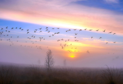 ​在床造句,用在床怎么造句