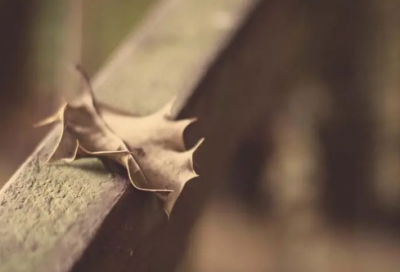 ​几乎造句,用几乎怎么造句