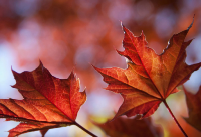 ​当时造句,用当时怎么造句