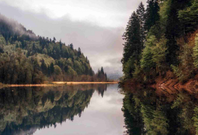 ​氛造句,用氛怎么造句