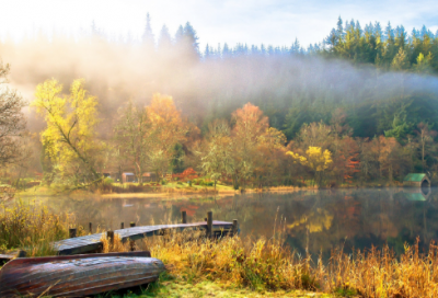 ​细心造句,用细心怎么造句