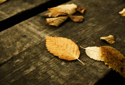 ​分别造句,用分别怎么造句