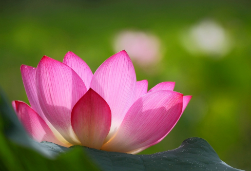 1695807489650221.png image.png