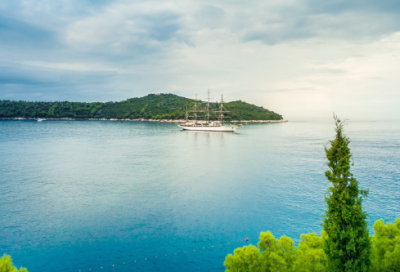 ​陋造句,用陋怎么造句