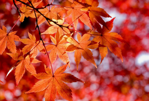 1695809479486095.png image.png