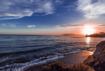 ​溯造句,用溯怎么造句