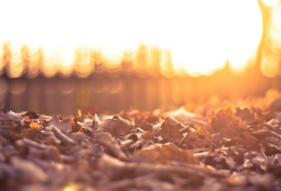 ​豁造句,用豁怎么造句