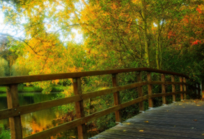 ​秉造句,用秉怎么造句