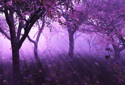 ​巍造句,用巍怎么造句