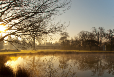 ​大约造句,用大约怎么造句