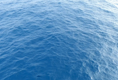 1697053288527999.png image.png