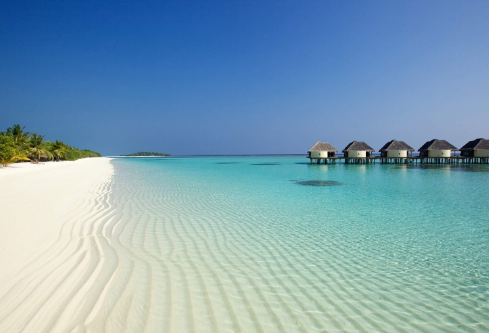 1697056104545726.png image.png