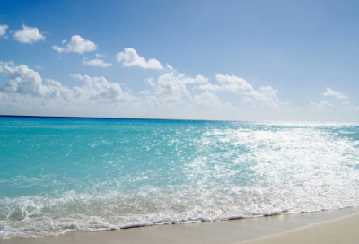 ​放牛班的春天观后感