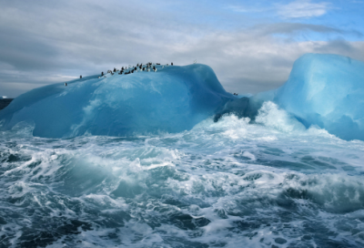 ​天堂的孩子观后感600字