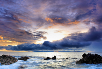 ​雨兰原创美文:童年时,那些不说话的老朋友