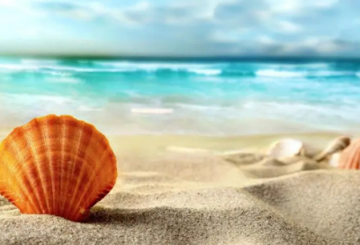 ​大学生求职简历范文