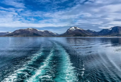 ​《复兴之路》观后感600字