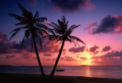 ​帝企鹅日记观后感