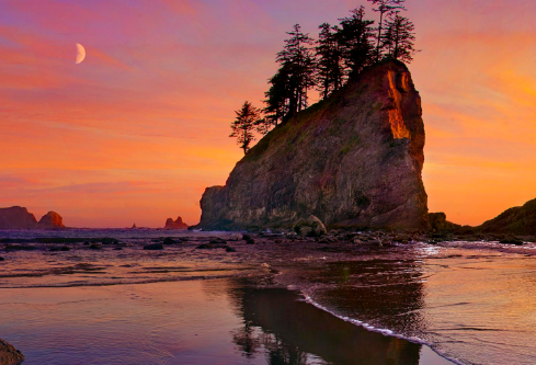 1697069521392371.png image.png