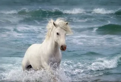 ​春天的散文简短优美四篇