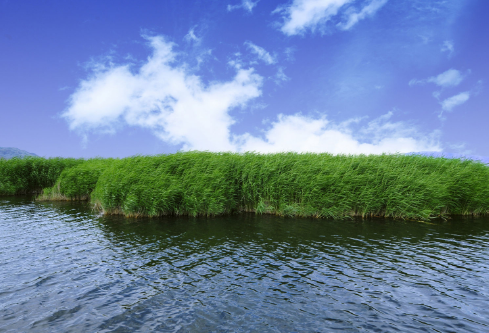 1697071343910907.png image.png