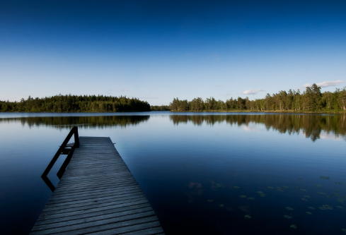 1697071508621283.png image.png