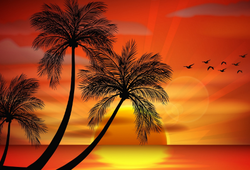 1697074001995048.png image.png