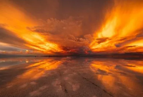 1697076484444173.png image.png