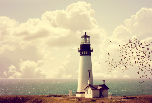 1697132586787858.png image.png