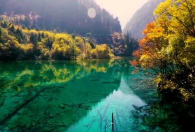 ​关于咖啡的优美句子(精选72句)