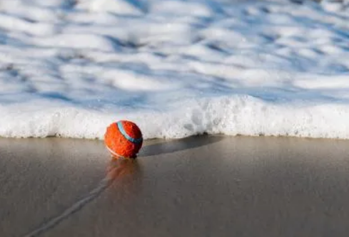 1697133747565112.png image.png