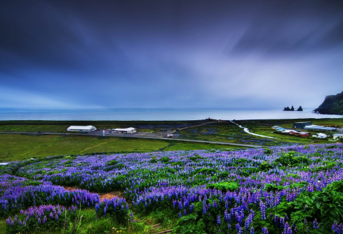 1697134244116038.png image.png